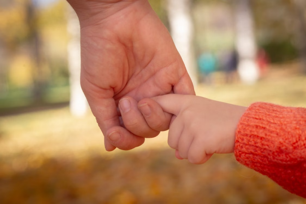 Close-up of a parent and child holding hands outdoors in a park